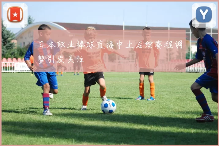 日本职业棒球直播中止后续赛程调整引发关注