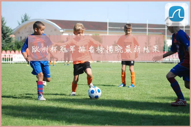 欧洲杯冠军排名榜揭晓最新结果